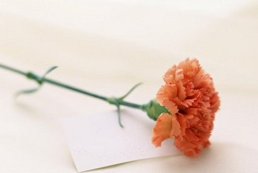 SMT加工廠的婦女節(jié)怎么過(guò)？